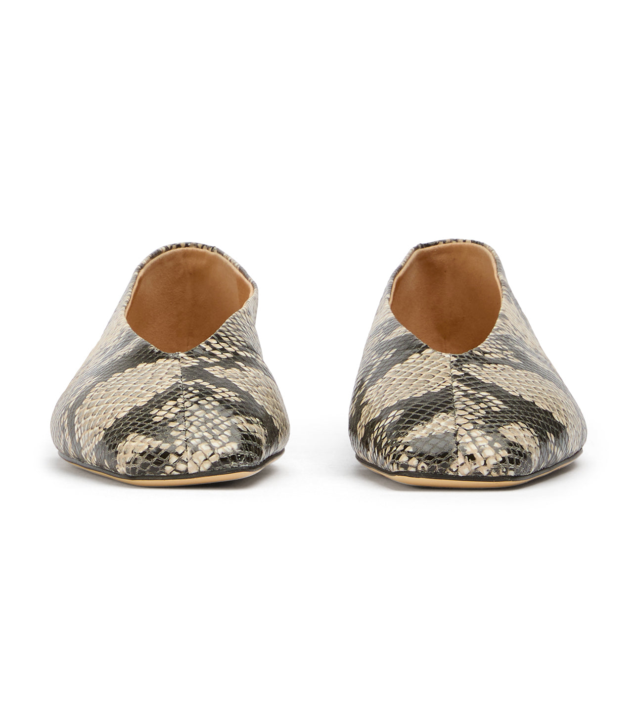 Brash Ecru Snake - Tony Bianco Online Shop