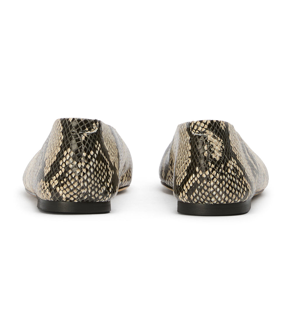Brash Ecru Snake - Tony Bianco Online Shop