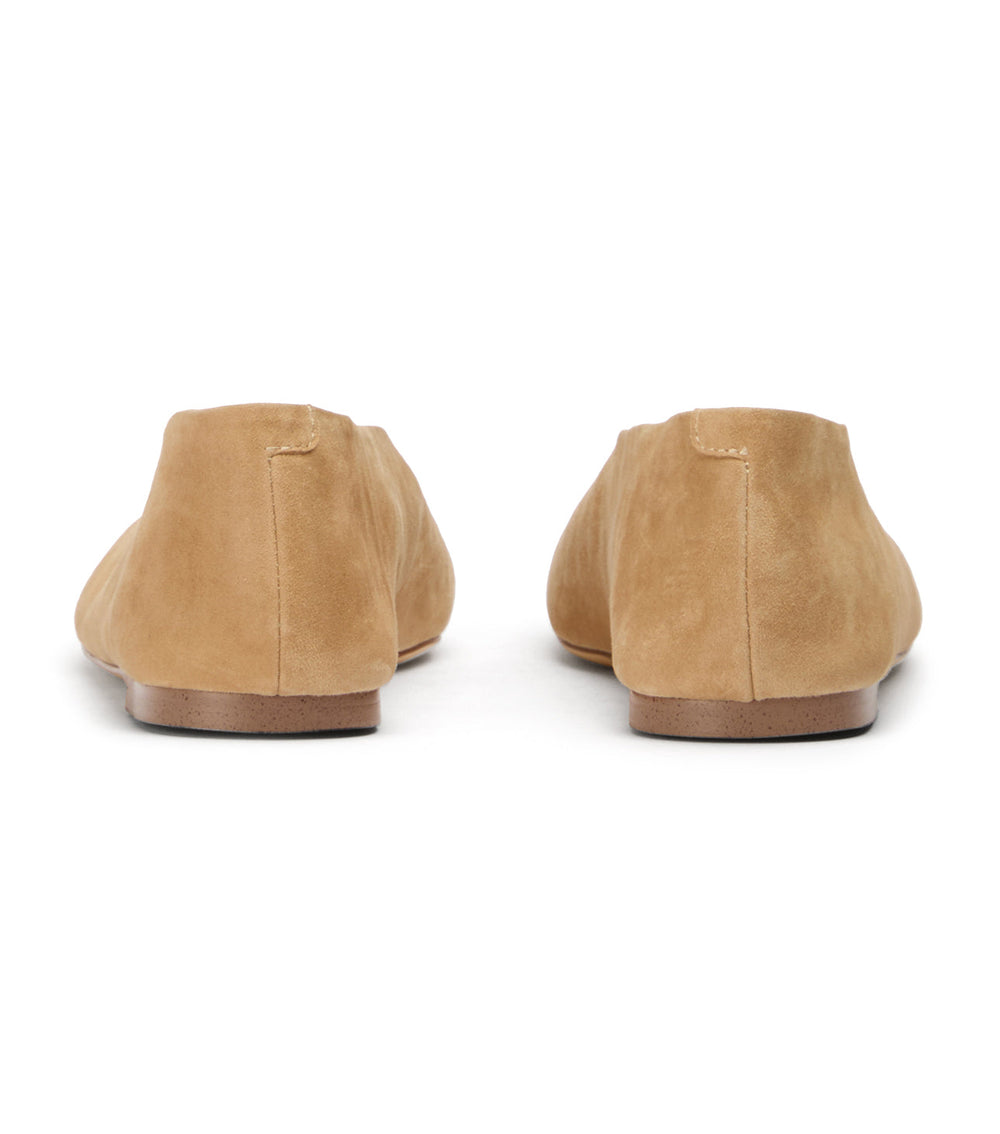 Brash Wheat Suede - Tony Bianco Near me