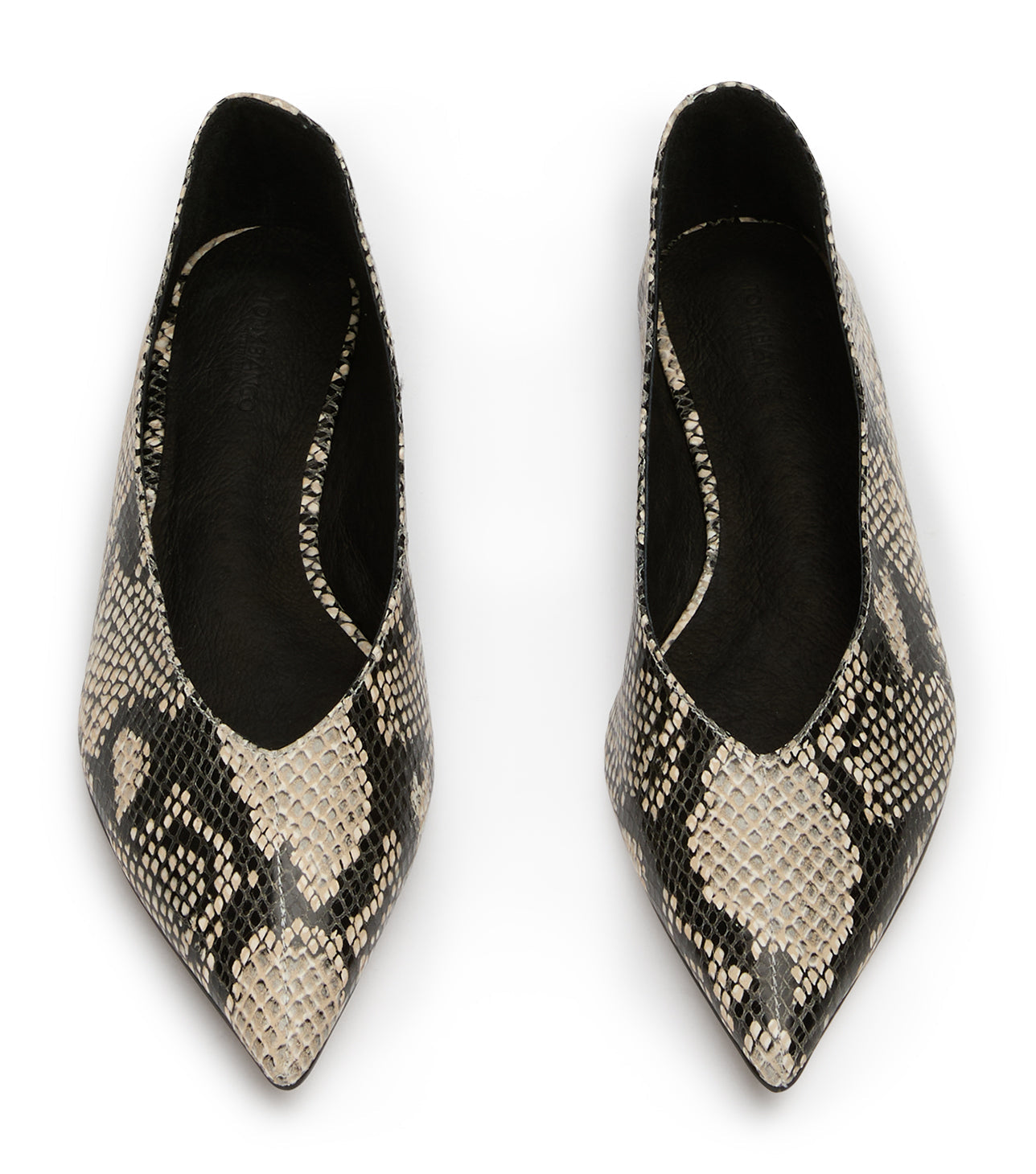 Joop Ecru Snake Flats - Tony Bianco Discount