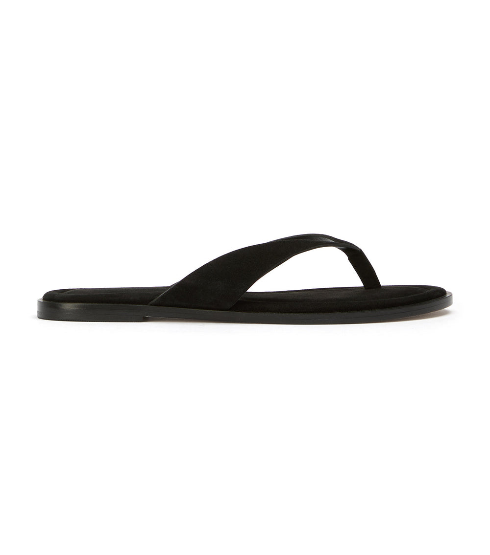 Sahara Black Suede - Tony Bianco Online