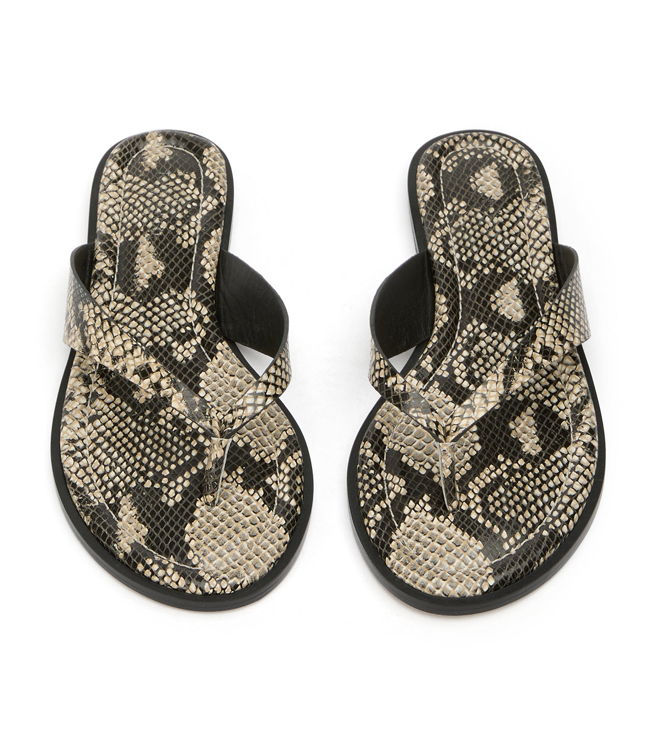 Sahara Ecru Snake - Tony Bianco US
