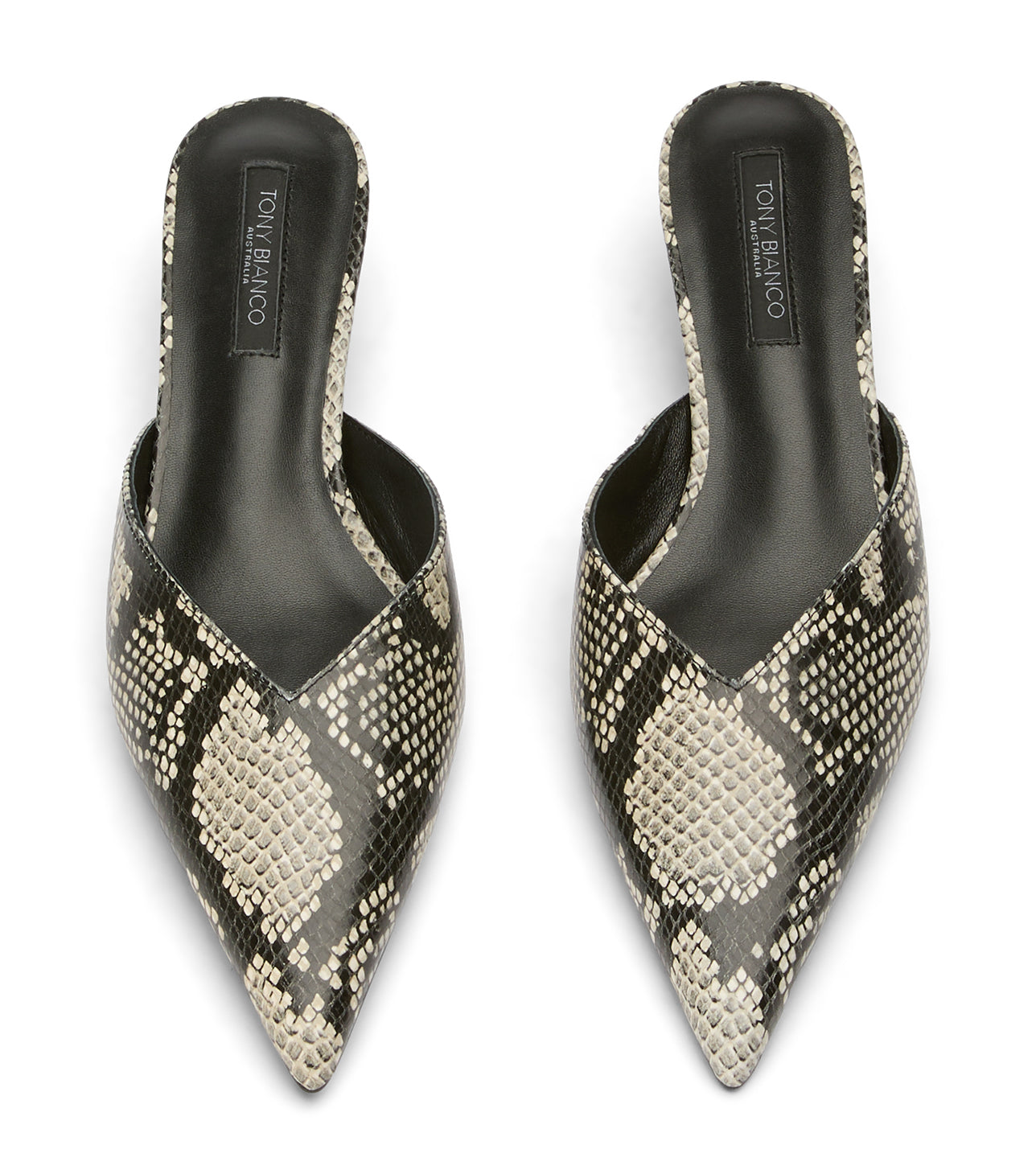 Connie Ecru Snake - Tony Bianco Sale