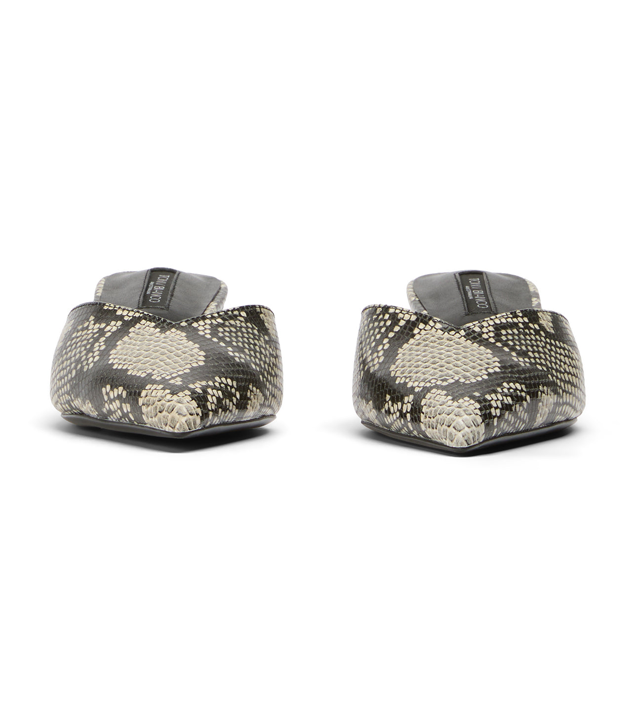 Connie Ecru Snake - Tony Bianco Sale