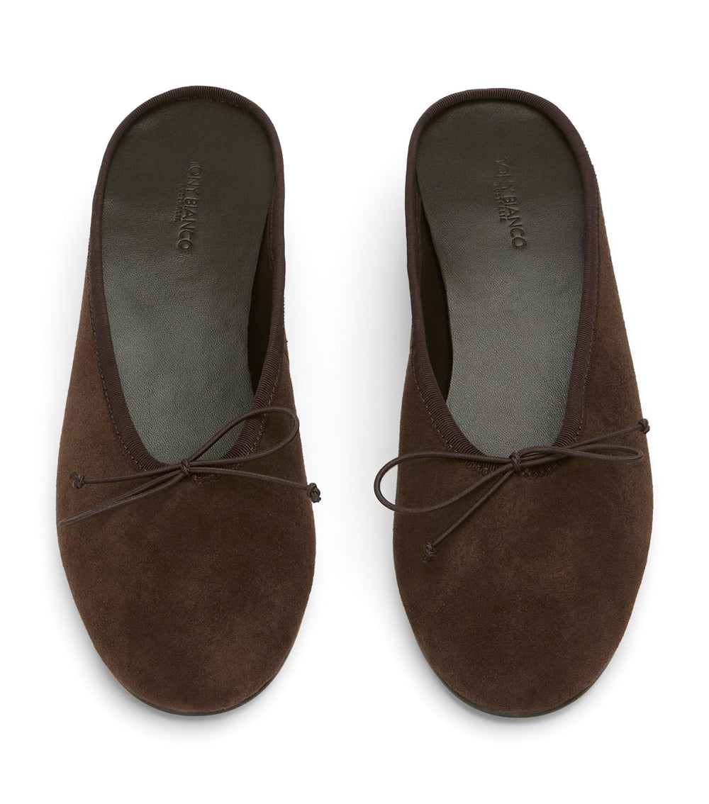 Maxy Espresso Suede - Tony Bianco Outlet