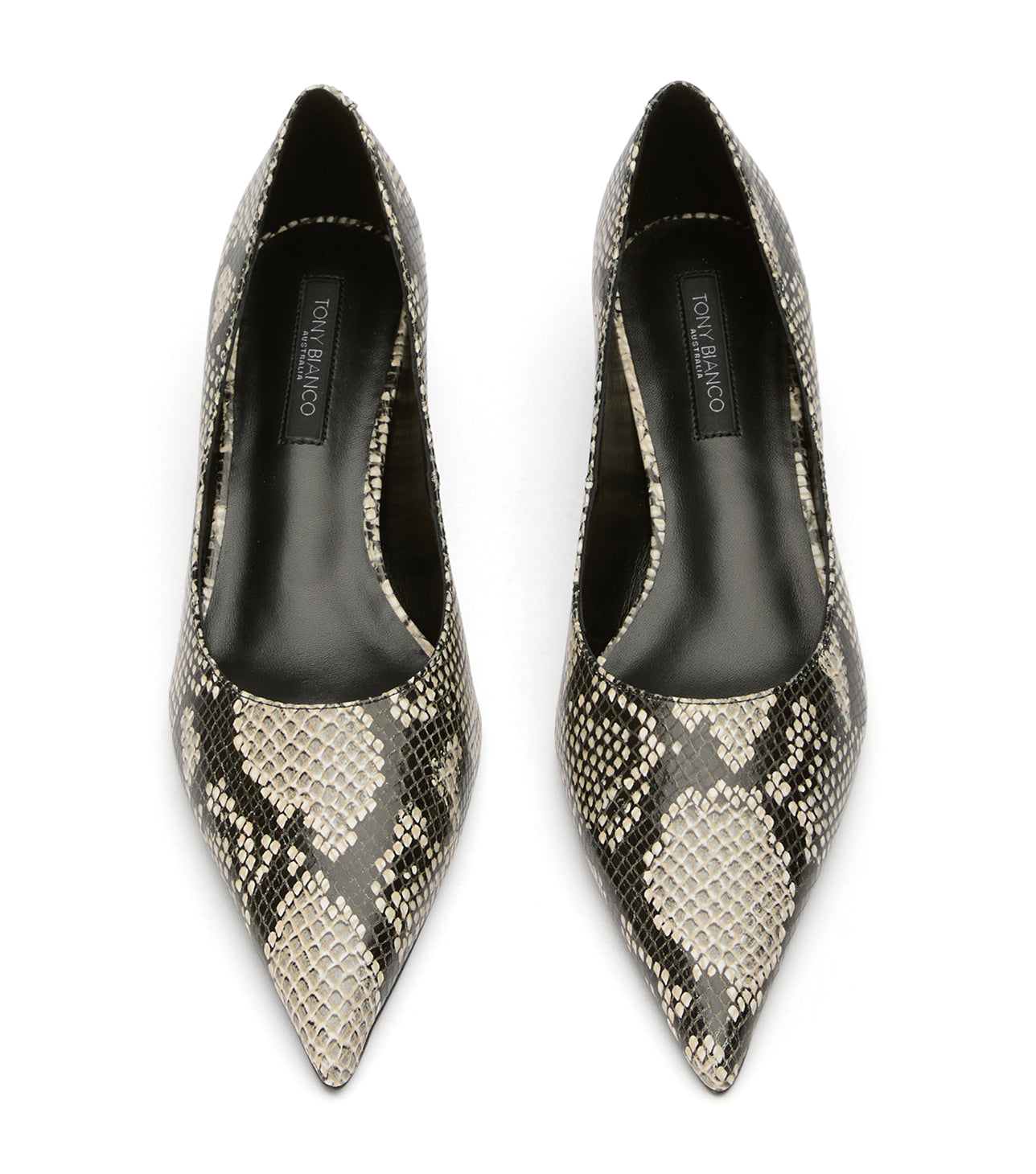 Cameo Ecru Snake - Tony Bianco Online