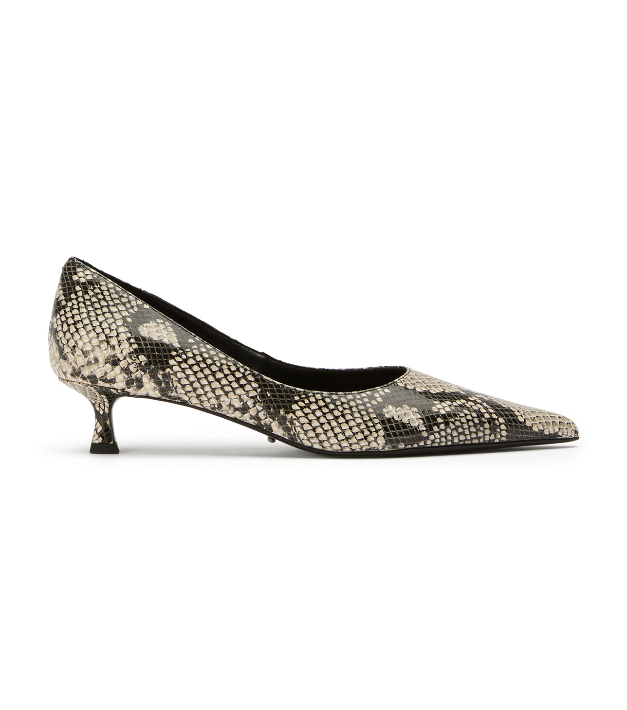 Cameo Ecru Snake - Tony Bianco Online