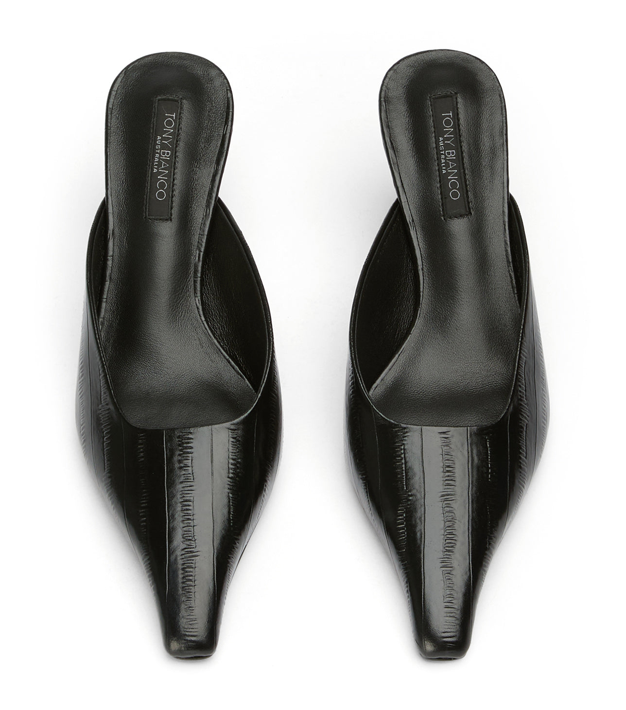 Juniper Black Anguille - Tony Bianco Outlet