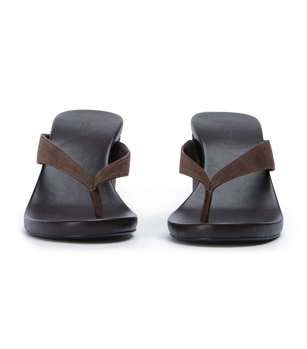 Avanti Espresso Suede - Tony Bianco Near me