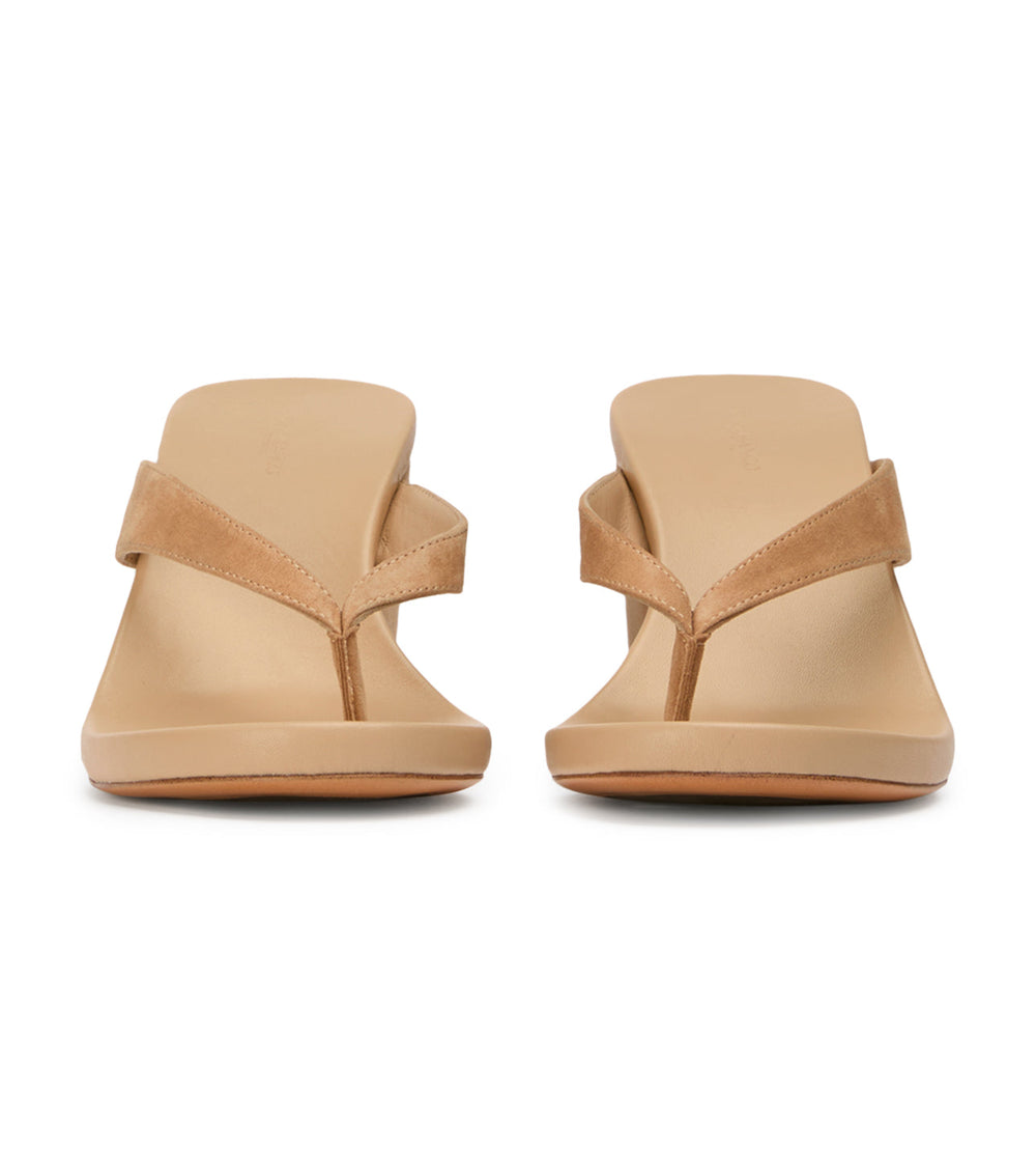 Avanti Wheat Suede - Tony Bianco Online