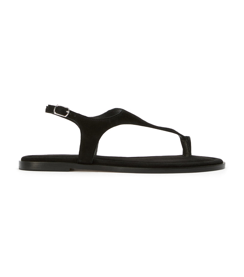 Sienna Black Suede - Tony Bianco Sale