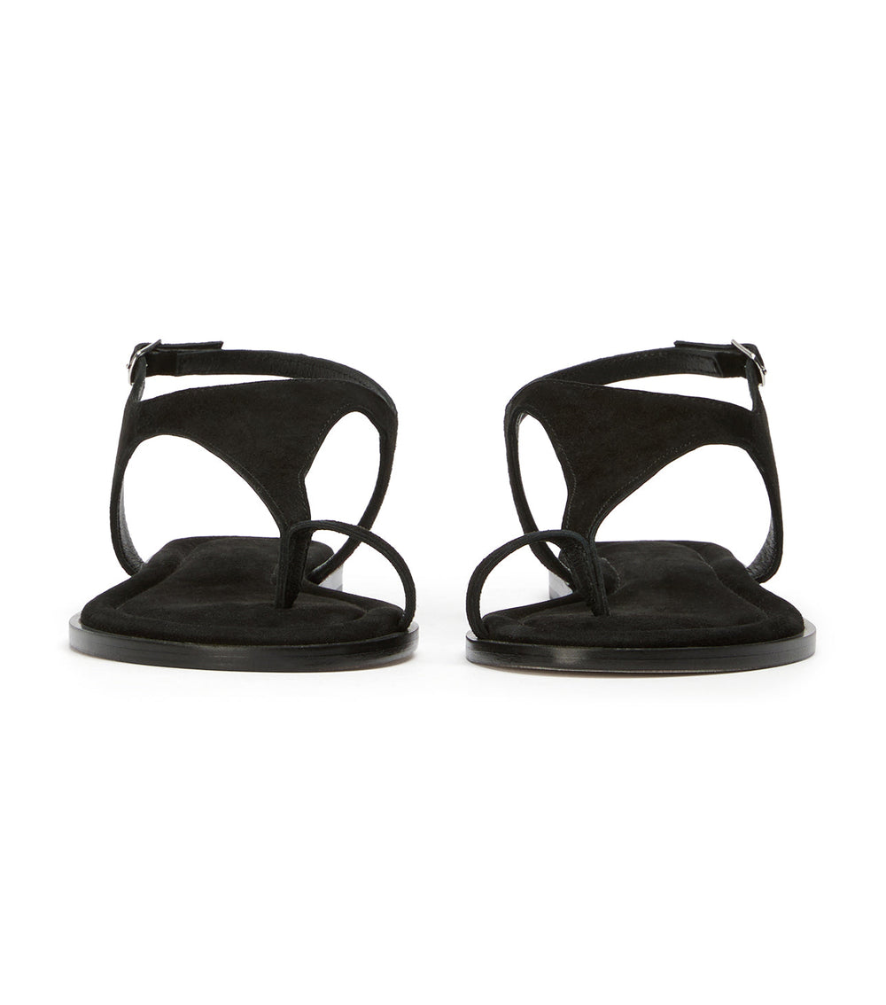 Sienna Black Suede - Tony Bianco Sale