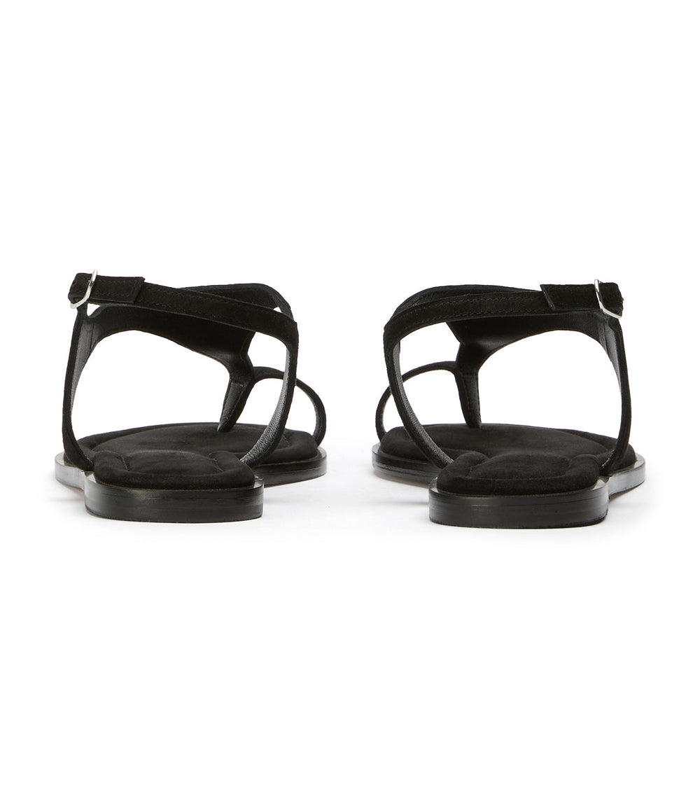 Sienna Black Suede - Tony Bianco Sale