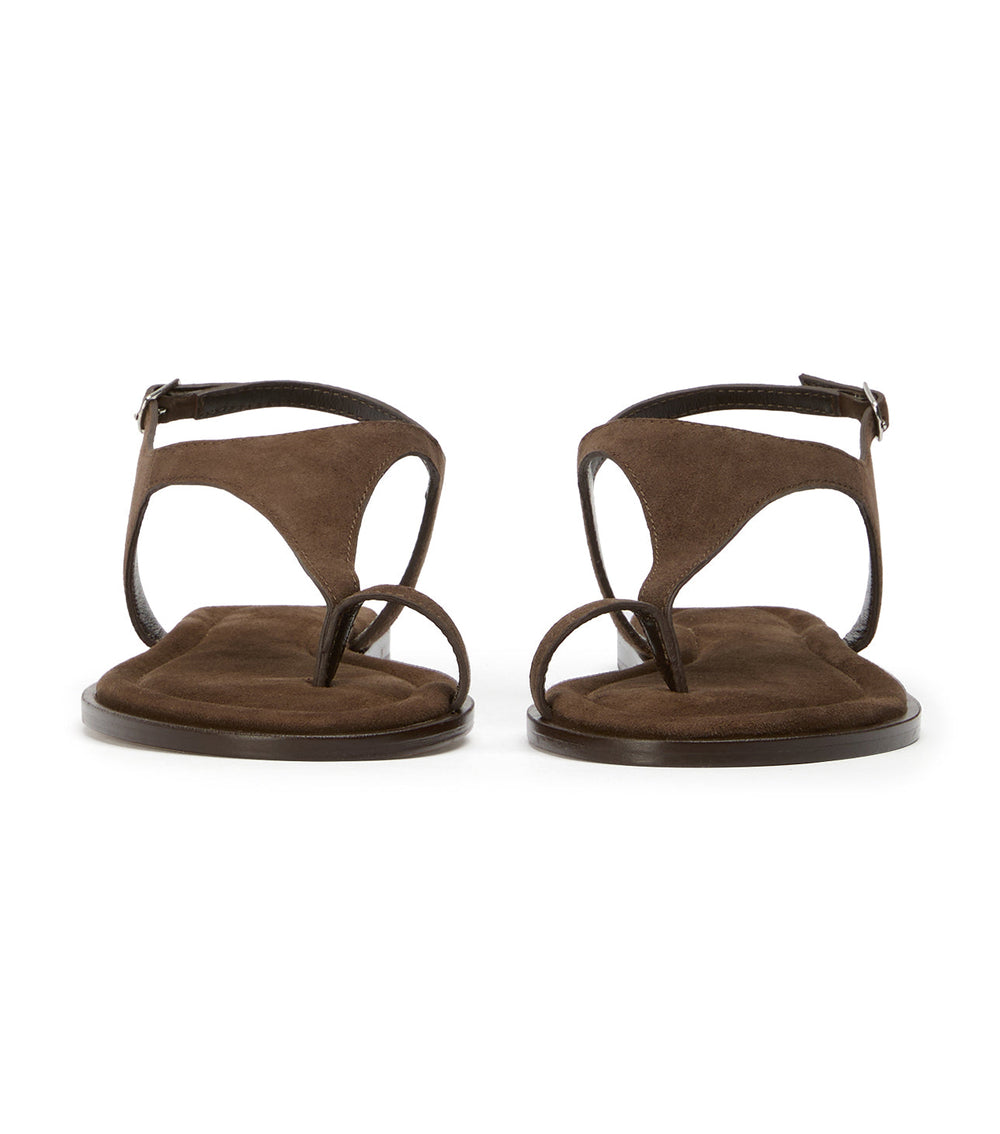 Sienna Espresso Suede - Tony Bianco Online