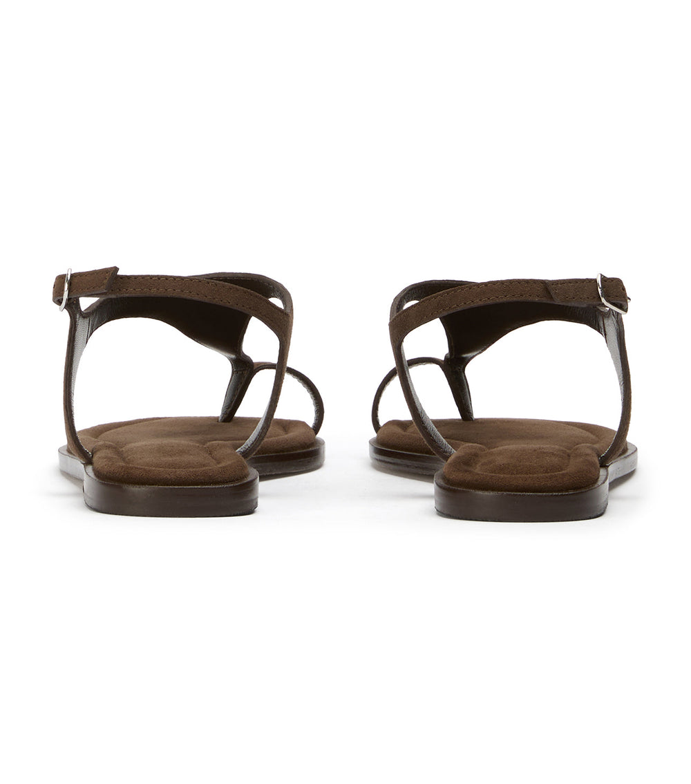 Sienna Espresso Suede - Tony Bianco Online