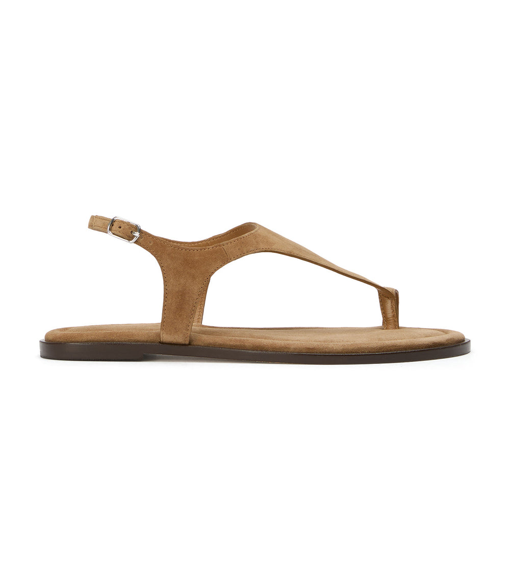 Sienna Taupe Suede - Tony Bianco Discount
