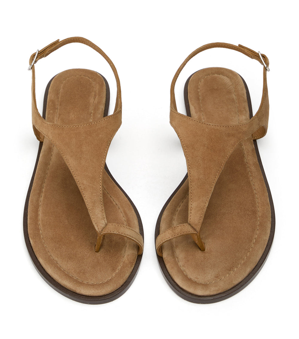 Sienna Taupe Suede - Tony Bianco Discount