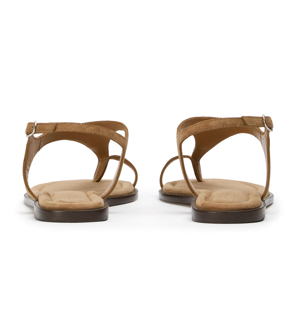 Sienna Taupe Suede - Tony Bianco Discount