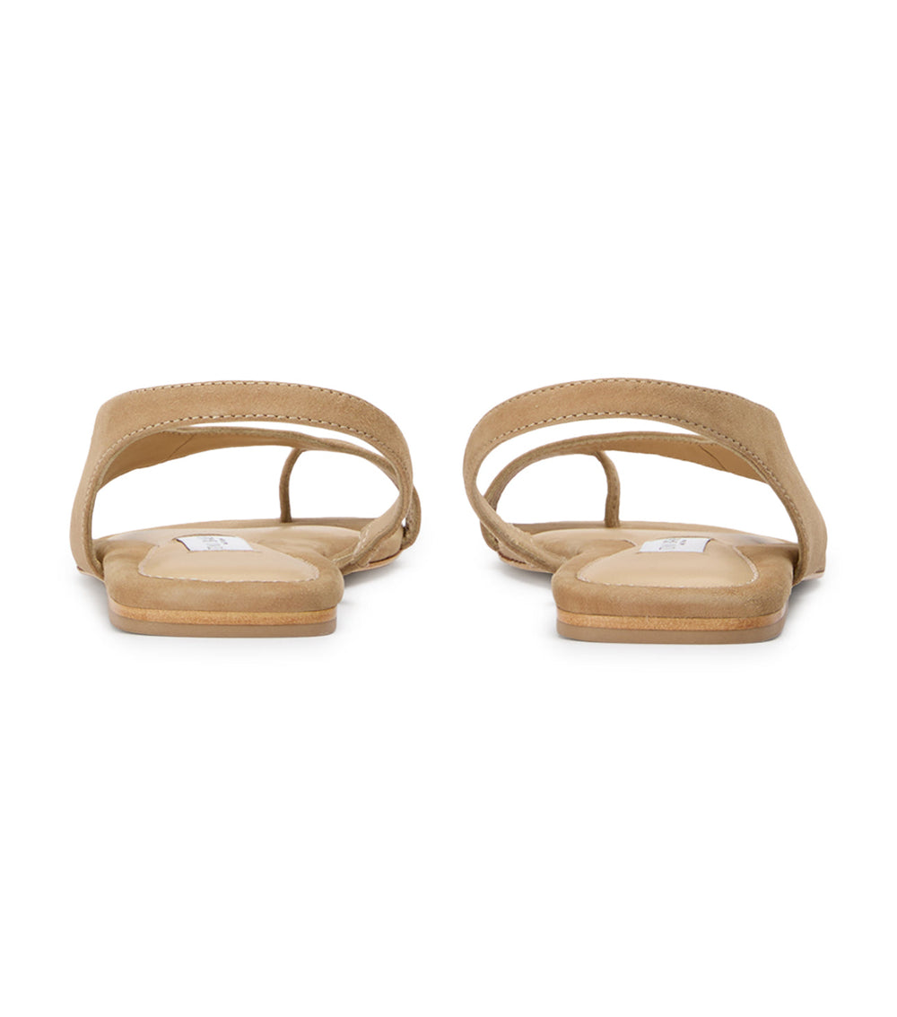 Roma Wheat Suede - Tony Bianco Outlet
