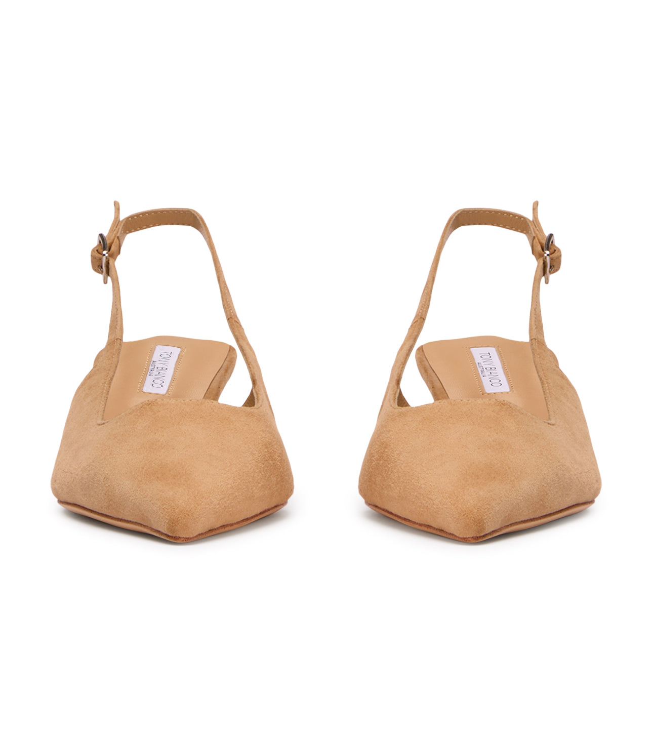 Crush Wheat Suede - Tony Bianco Online