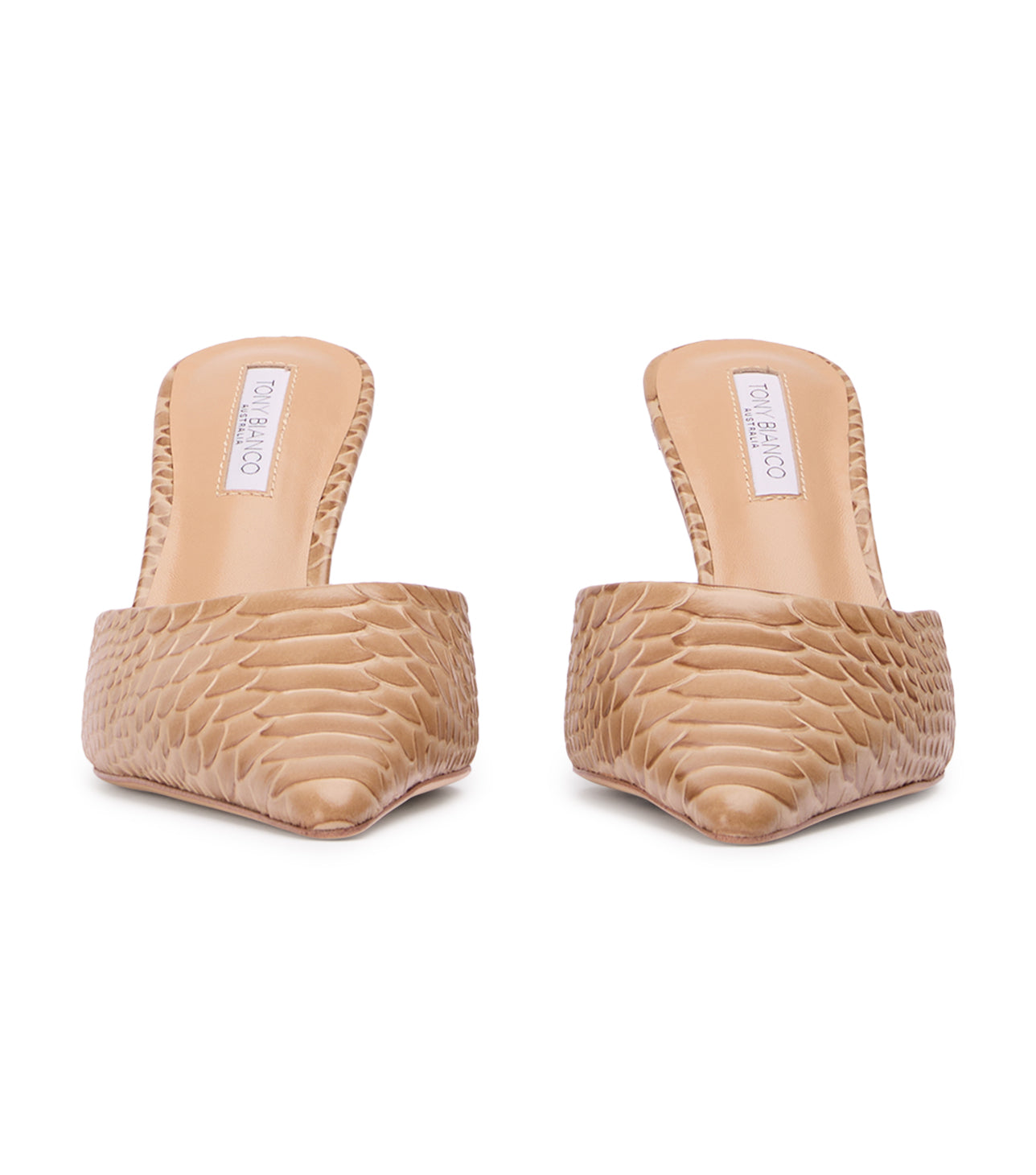 Sicily Tan Python - Tony Bianco Discount
