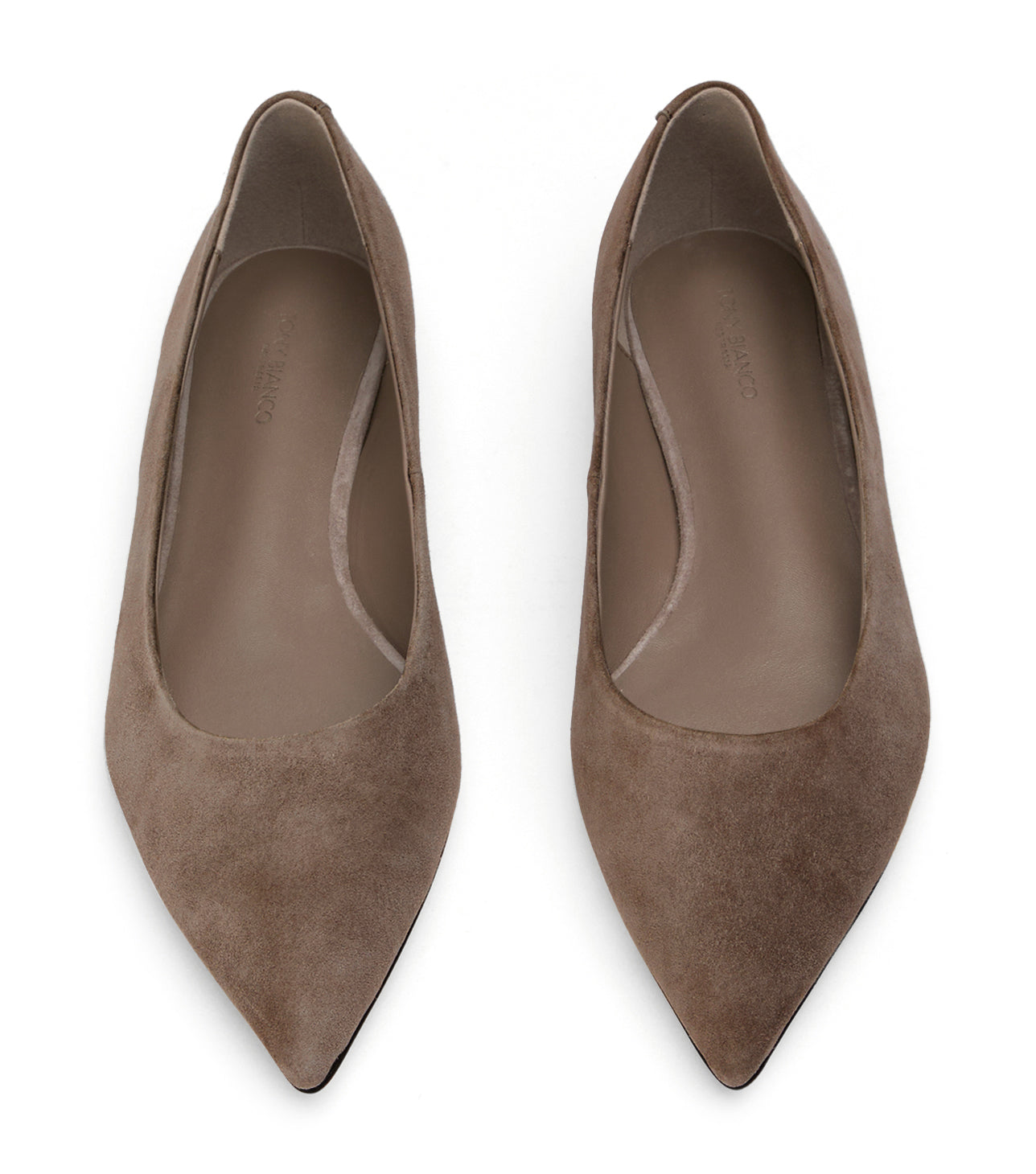 Jesse Ashen Suede - Tony Bianco Outlet