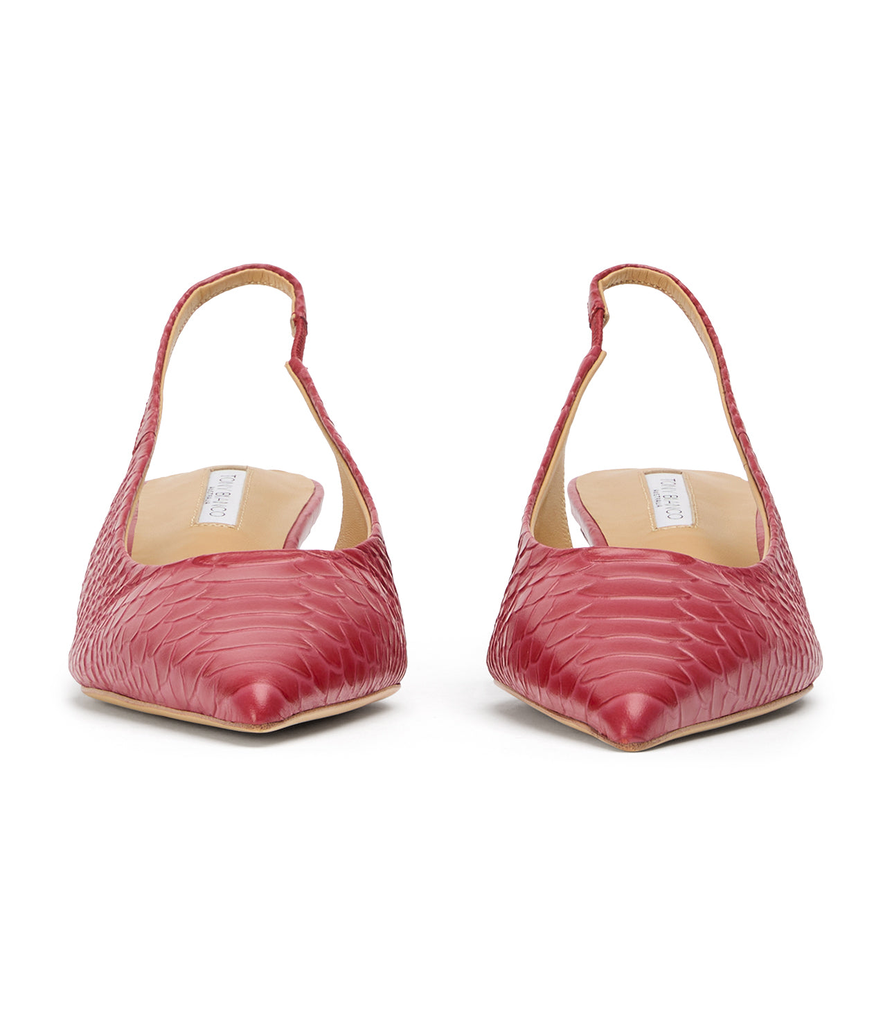 Catie Scarlet Python - Tony Bianco Discount