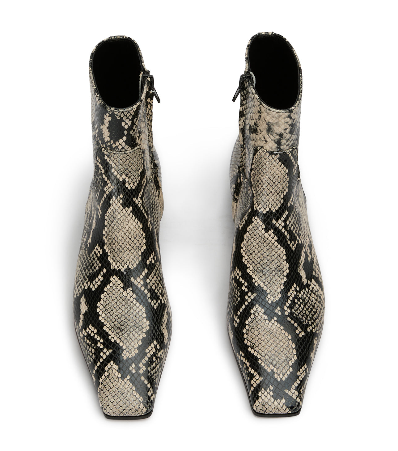 Rupert Ecru Snake Ankle Boots - Tony Bianco On Sale